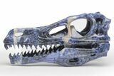 Carved Sodalite Dinosaur Skull - Roar! #218506-1